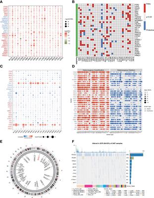 A New Thinking: Deciphering the Aberrance and Clinical Implication of IGF Axis Regulation Pattern in Clear Cell Renal Cell Carcinoma